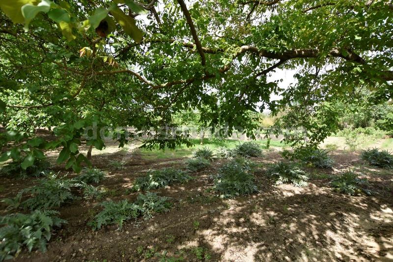 Foto f21955f3-e177-4077-8c1d-95c8ac1339cf. Casale con piscina in Partidas Norte Ronda