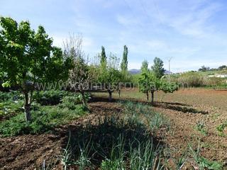 Mas à Partidas Sur. Casa de campo con parcela a pocos minutos de ronda