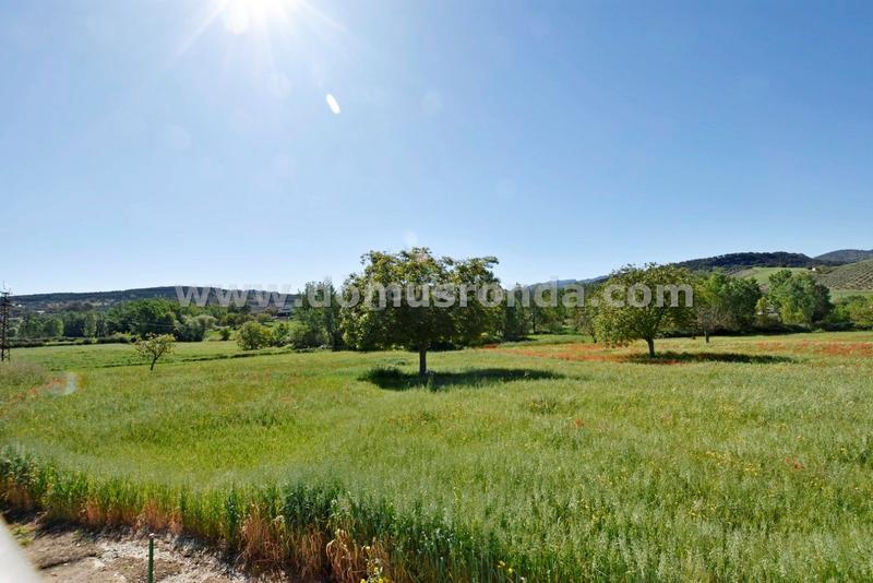 Foto 4a9e8e65-c593-43ec-93f2-ce57de2a286e. Masía estupenda casa de campo con parcela en Partidas Norte Ronda