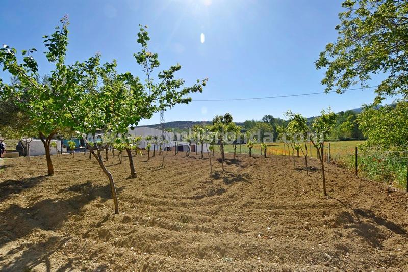 Foto 965d76f9-8b4e-4d52-bc38-d944241a359a. Masía estupenda casa de campo con parcela en Partidas Norte Ronda