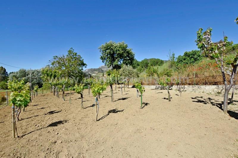 Foto af430656-902a-4450-ad1e-583b8d5f57be. Masía estupenda casa de campo con parcela en Partidas Norte Ronda