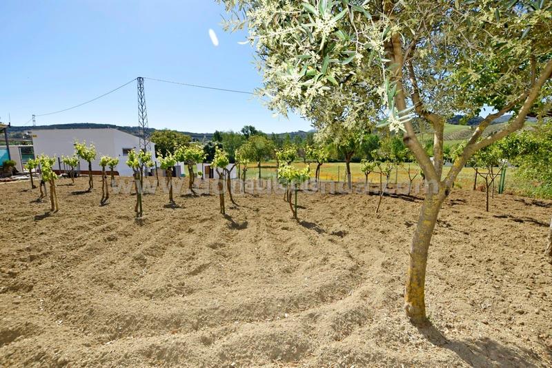 Foto bd7f6aa4-7515-4a59-a024-92f9ebde1141. Masía estupenda casa de campo con parcela en Partidas Norte Ronda