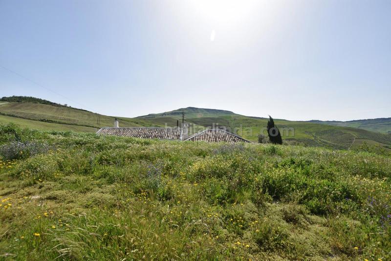 Foto 1fc3340e-95e2-4e5b-bbb1-531017c2d44e. Mas dans Partidas Norte Ronda