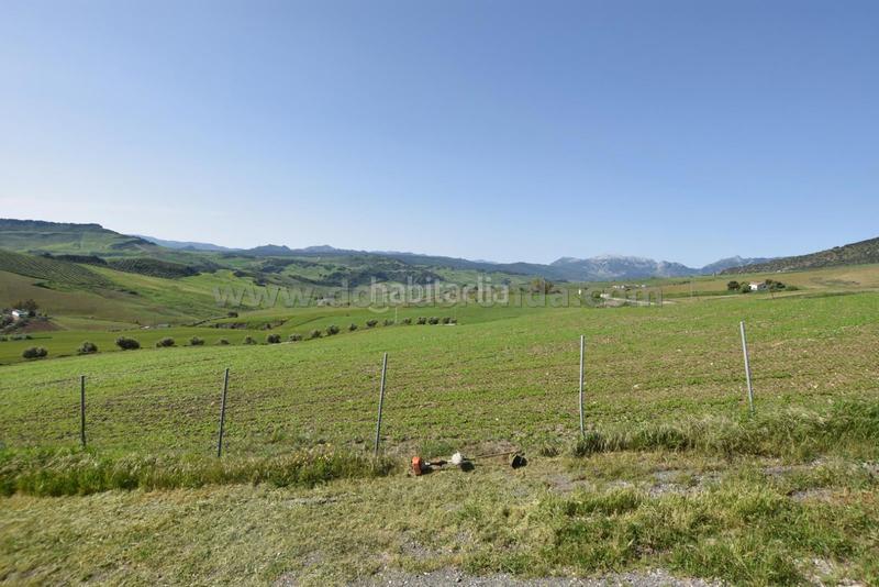 Foto 52449d37-a2f6-4cee-be43-c72b68a26701. Mas dans Partidas Norte Ronda