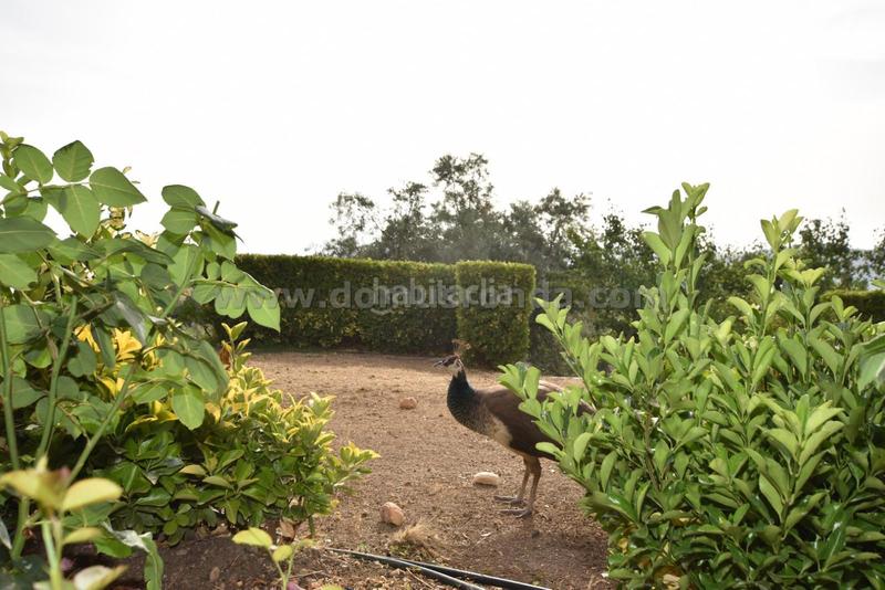 Foto 9f4205aa-2f24-4b34-bd94-137610def9cd. Chalet with heating pool in Partidas Norte Ronda