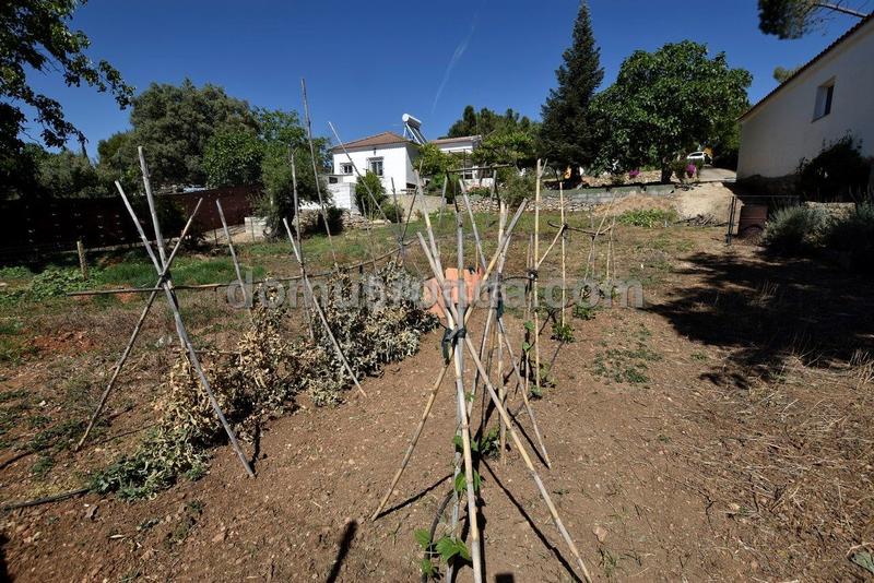 Foto 490de927-9ffa-4077-8a40-2d6a45f3ec92. Masía se vende casa de campo en Partidas Norte Ronda