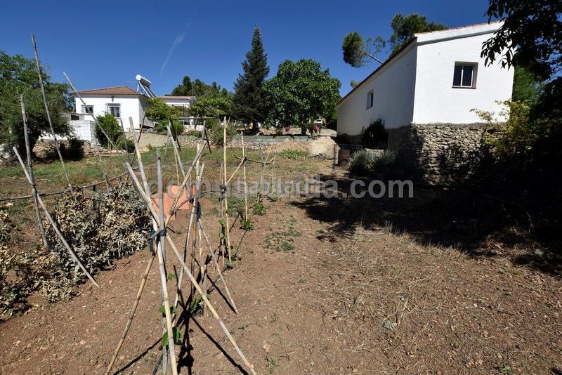 Foto f5efd975-109a-46bb-95ea-1911739afb5d. Masía se vende casa de campo en Partidas Norte Ronda