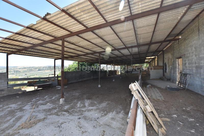 Foto 0661d84e-303f-4834-8c6e-f144b8ae8d51. Masía en venta casa de campo con gran terreno en Partidas Norte Ronda