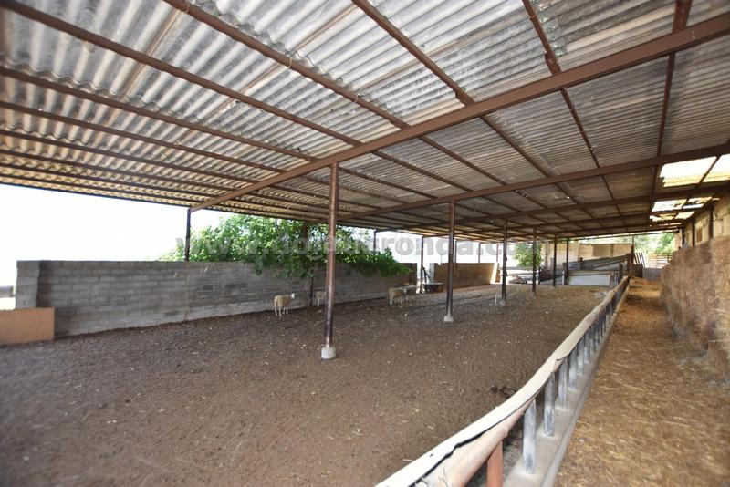 Foto 712a2150-49ab-4a41-a8e6-6644593c7c52. Masía en venta casa de campo con gran terreno en Partidas Norte Ronda