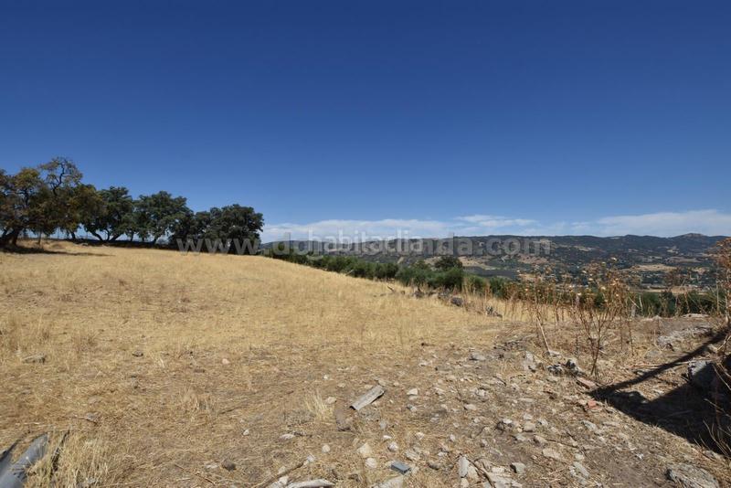 Foto c8a0f4be-733c-4f00-857e-c9ceed75ffa7. Masía en venta casa de campo con gran terreno en Partidas Norte Ronda