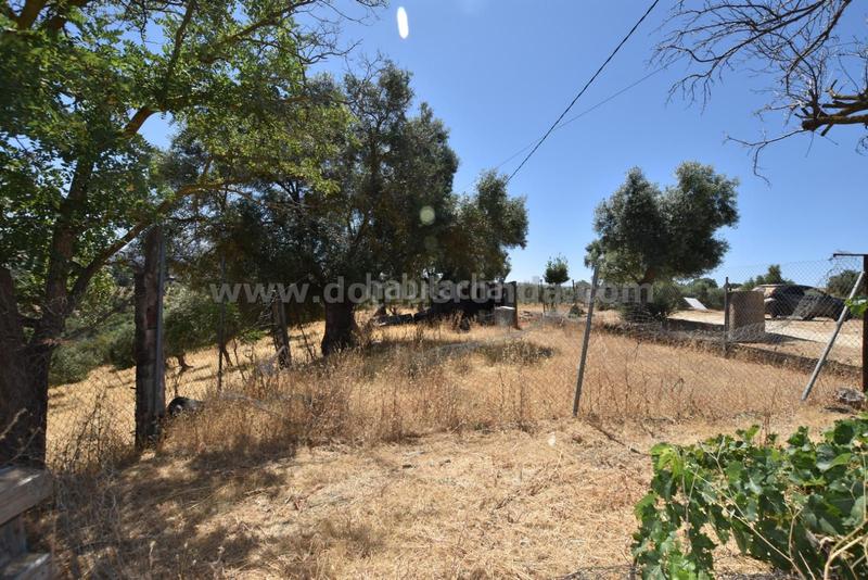 Foto d66bceca-5f08-4034-983f-f1ee65a39bda. Masía en venta casa de campo con gran terreno en Partidas Norte Ronda