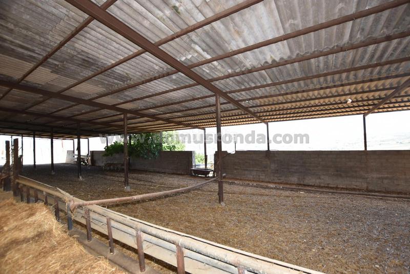 Foto f9397bb8-a812-4466-abb3-faeabd422071. Masía en venta casa de campo con gran terreno en Partidas Norte Ronda