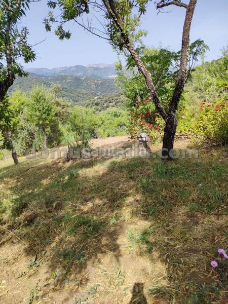 Foto 006eae58-64a8-4d92-a076-a8009b246860. Masia a Faraján