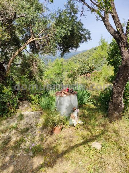 Foto 0b8bfbcc-17c8-4365-a5ca-859c434b1e17. Masia a Faraján