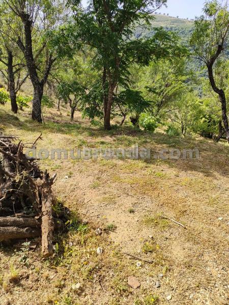 Foto 165c8323-d1d2-4654-b0f9-b733ce52b10c. Masia a Faraján