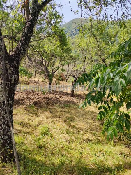 Foto 34045abb-6858-4a2b-811e-0d2a7151034e. Masia a Faraján