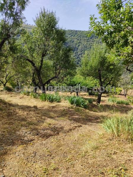 Foto 51eda9ca-6117-40dd-a30b-35b97f56e769. Masia a Faraján