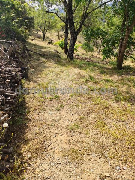 Foto 5a866728-696e-49cc-ae7d-8668b192a6c6. Masia a Faraján