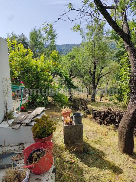 Foto 691ddbee-5677-4fe2-9177-6303d1b1c225. Masia a Faraján