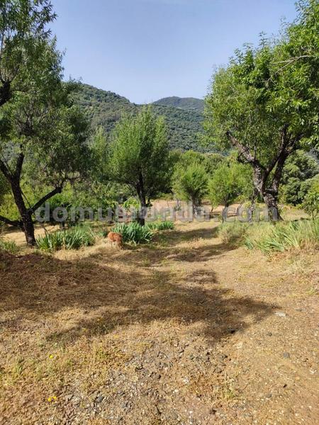 Foto 7674142f-1afd-4679-825e-bf77d45a7430. Masia a Faraján