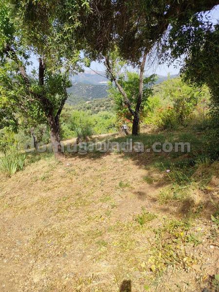 Foto 935c890c-7ecf-49d5-be2b-ddd8af442447. Masia a Faraján