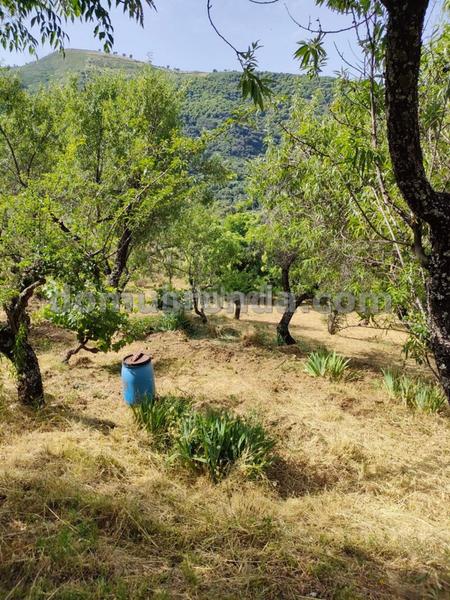 Foto c3e6e13f-0320-4ba3-90e1-3185cc973597. Masia a Faraján