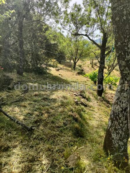 Foto d35a1046-fec7-48b1-8690-21b95b397094. Masia a Faraján