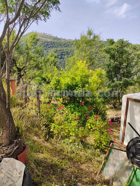 Foto d68f977e-33ec-46b8-8cef-92aee523b1f4. Masia a Faraján