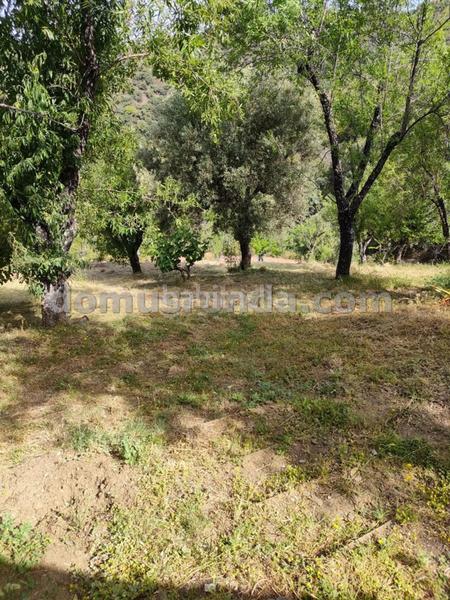 Foto ff8faf2e-b65a-4ee4-bbab-f3138354452b. Masia a Faraján