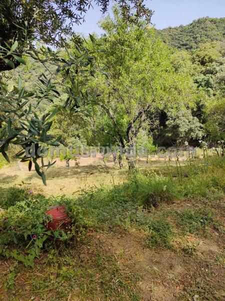 Foto ff9dc2ea-c4d2-42aa-beea-649a72bcf877. Masia a Faraján