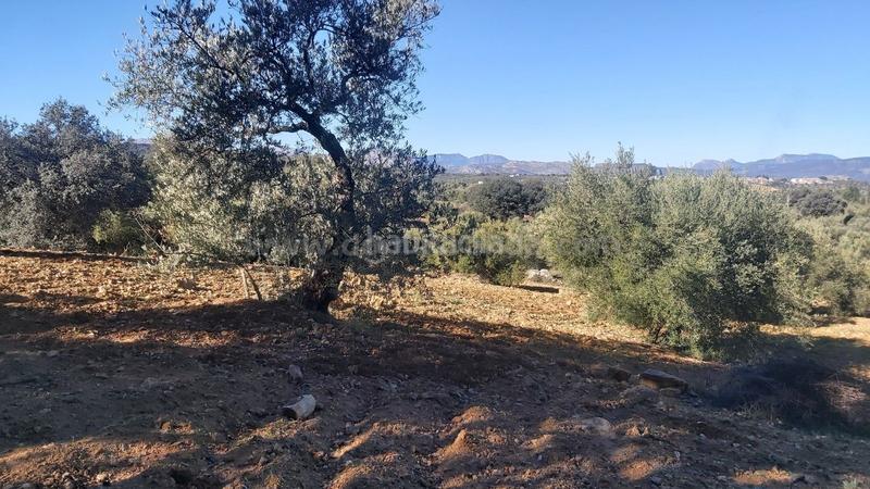 Foto 0e496304-bff9-4c2e-a1e2-e8be1eb8bf21. Finca rústica a Población de Arroyo