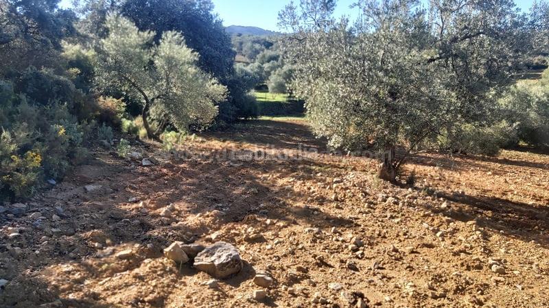 Foto 220f9dcf-58d9-48cd-a777-06e5c0791227. Finca rústica a Población de Arroyo