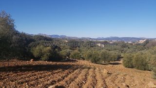 Finca rústica a Partidas Norte. Parcela rústica de 17 mil metros en venta en ronda