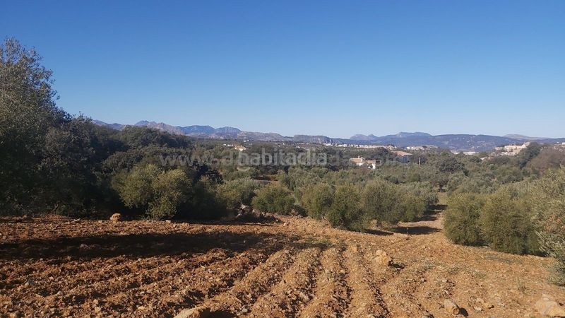 Foto 06547f41-e7b5-4eaa-b884-3505c63f8f67. Finca rústica a Partidas Norte Ronda