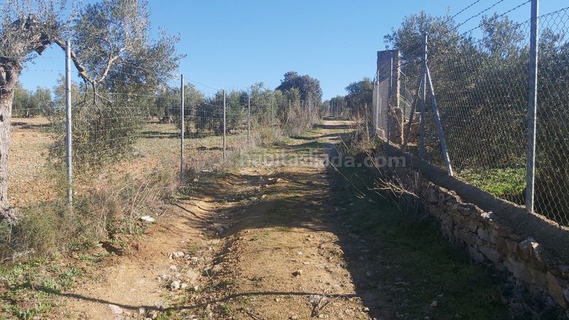 Foto d76a7782-5d07-445f-99a7-3d8ad78cf499. Finca rústica a Partidas Norte Ronda