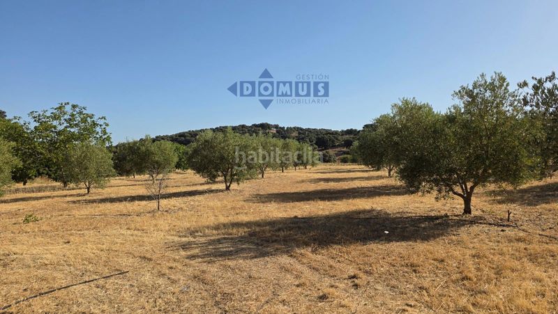 Foto 49dc1103-9c14-437c-a11f-67b27e38e8a3. Finca rústica a Partidas Sur Ronda