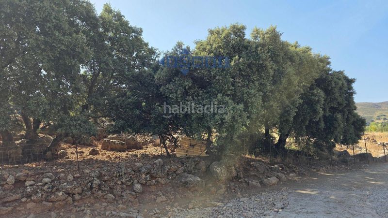 Foto fdaaa14e-ee1f-430f-8f56-2c1789a9b2d9. Finca rústica a Partidas Sur Ronda