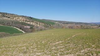 Finca rústica a Setenil de las Bodegas. Parcela rustica con proyecto de hotel en ronda