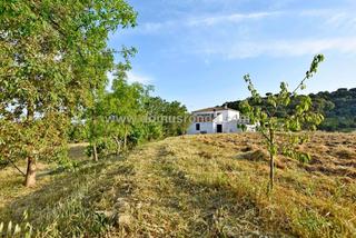 Masía en Partidas Norte. Finca rústica en venta en ronda, con 300 m2 y trastero.