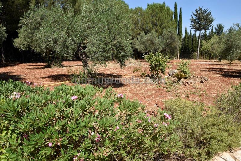 Foto 416a7265-827e-4bc0-910f-0fee911ca835. Masía casa de campo a pocos minutos en La Planilla Ronda