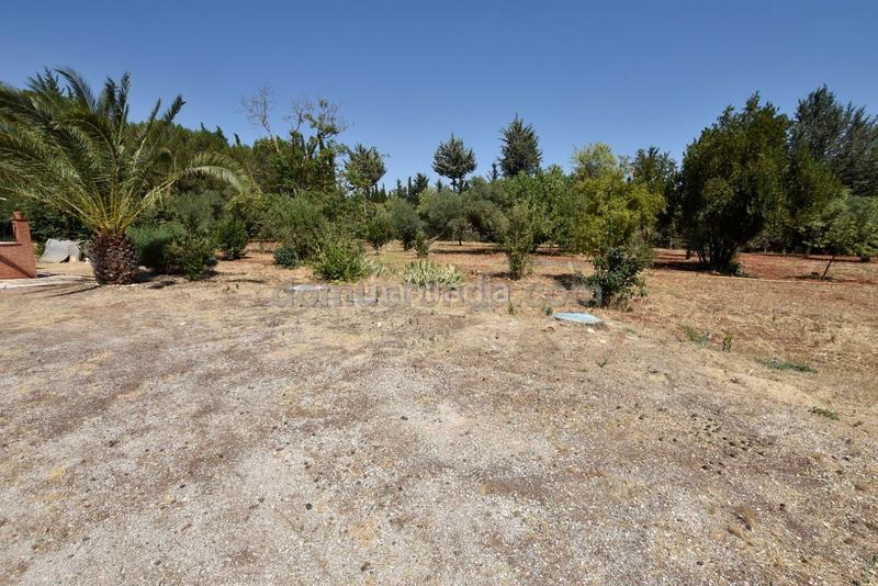 Foto 4e4285ec-9711-4a3a-b93c-71cef9363cea. Masía casa de campo a pocos minutos en La Planilla Ronda