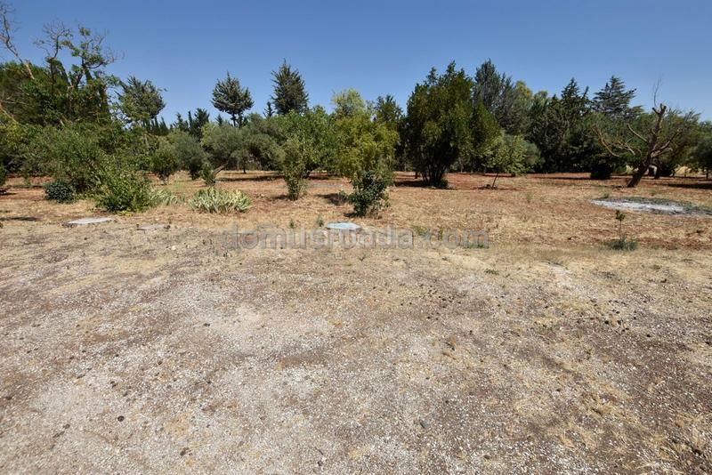 Foto d7e74469-2209-4ca0-89f9-7cb09568d91f. Masía casa de campo a pocos minutos en La Planilla Ronda