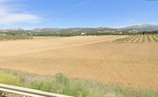 Terreny residencial  N/a. Parcela rústica a 5 min de ronda con posibilidad de construir 30