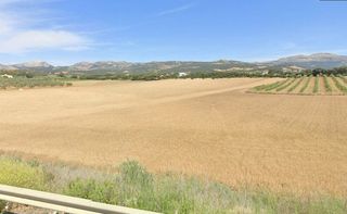 Fondo rustico  Campillos. Parcela rústica a 5 min de ronda con posibilidad de construir