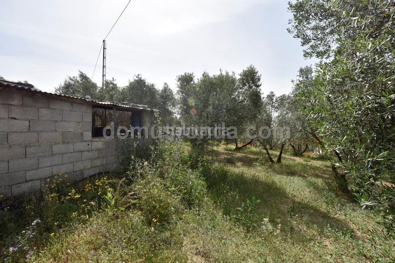 Foto 292e1f63-a0d9-4c60-9cee-f737266c4180. Mas avec piscine dans Casco Histórico Ronda