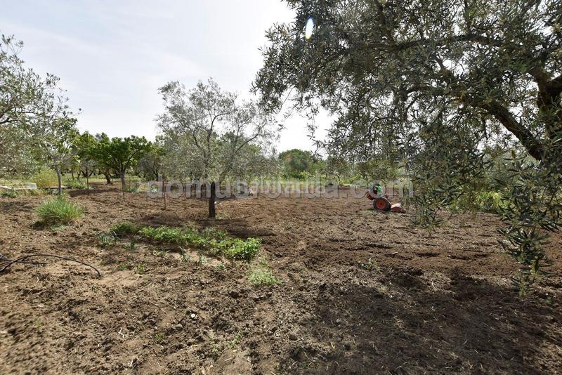 Foto 2e97f6b5-c329-4de5-9e30-5dea329fa06b. Mas avec piscine dans Casco Histórico Ronda