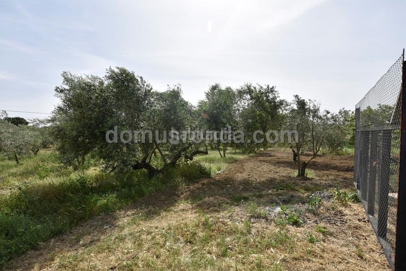 Foto 32210044-845b-4057-aa58-c5ce2d446696. Mas avec piscine dans Casco Histórico Ronda