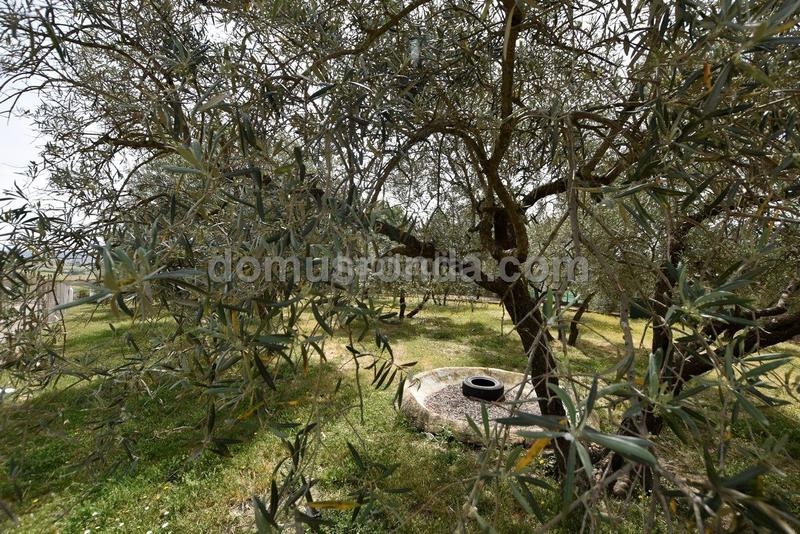Foto 3f1f4c00-6dbc-48ff-ac6c-2190130f4c8d. Mas avec piscine dans Casco Histórico Ronda