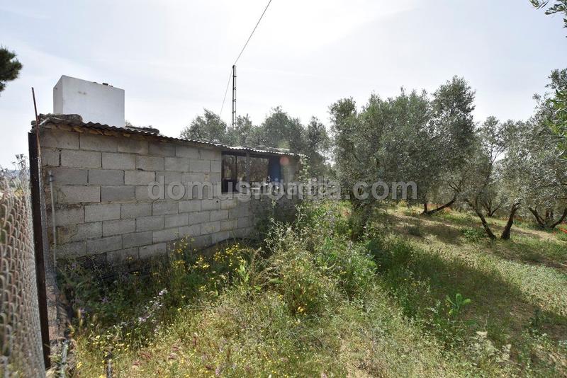 Foto 4ed962e9-06f5-4359-ae3b-91e2bf346815. Mas avec piscine dans Casco Histórico Ronda