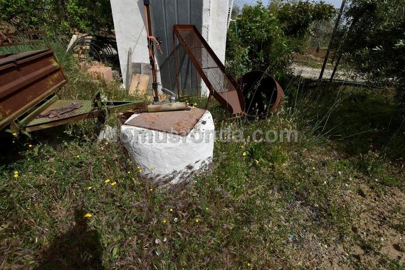 Foto 61471487-aec3-408d-8b65-edf3ac6f921a. Mas avec piscine dans Casco Histórico Ronda